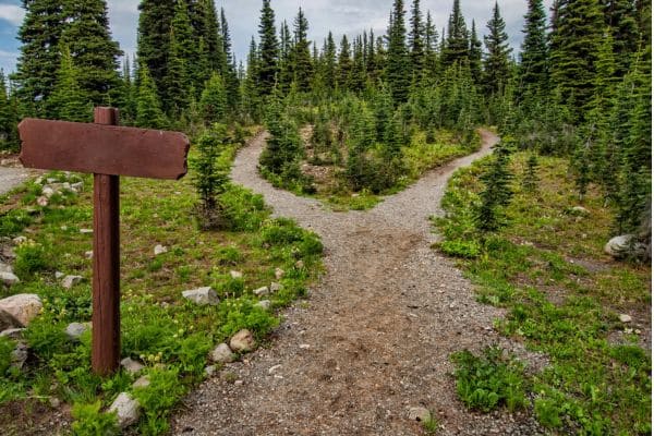 Trail Maintenance